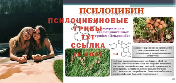 кокаин Арсеньев
